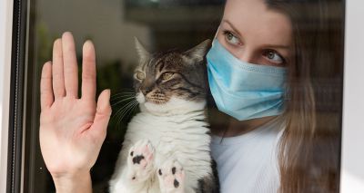 University of York study investigates impact of pets on mental health during lockdown